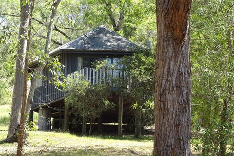 Barrington Tops Nest - Brisbane 4u 2