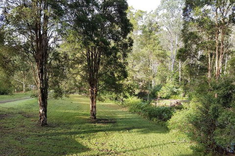 Barrington Tops Nest - Brisbane 4u 1