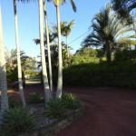 Cleveland B & B Private Studio Room - Brisbane Tourism 1