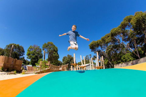 BIG4 Anglesea Holiday Park - Brisbane Tourism 6