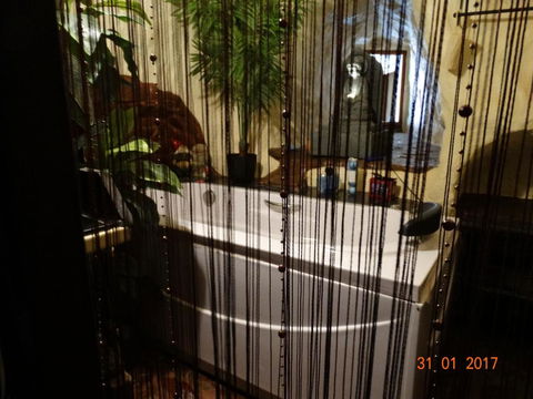 Dis Place - Tourism Brisbane 3