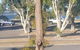 Lemon Tree Waterfront Apartments - thumb 7