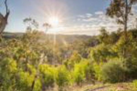 Skillogalee - Tourism Brisbane 0