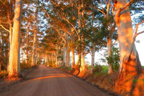 Innisfree Mountain Retreat - Tourism Brisbane 0