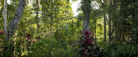 Sharlynn By The River - Tourism Brisbane 5