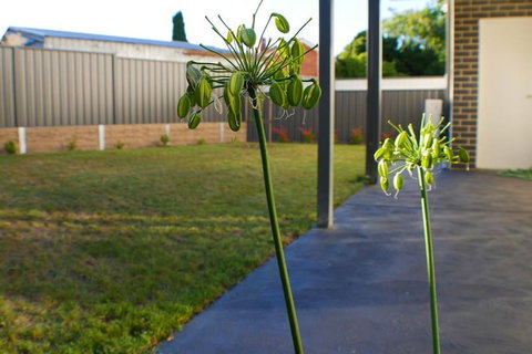 Maison Executive - Tourism Brisbane 3