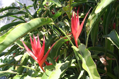 Scarborough Beach Break Holidays - Tourism Brisbane 2