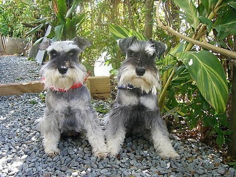 Scarborough Beach Break Holidays - Tourism Brisbane 1