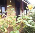 Albion Cottage - Tourism Brisbane