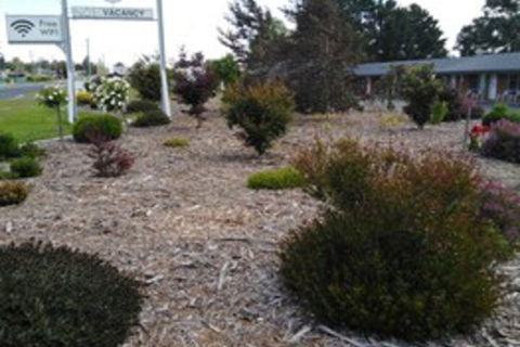 Altona Motel - Tourism Brisbane 0
