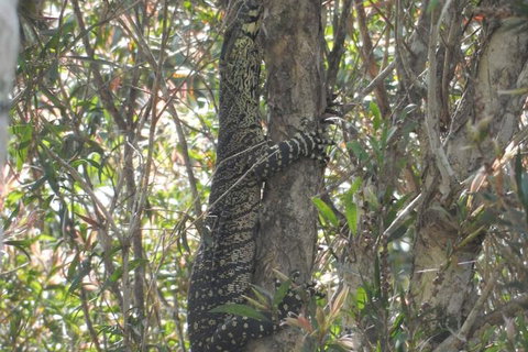 The Lodge Mapleton Falls - Brisbane Tourism 5