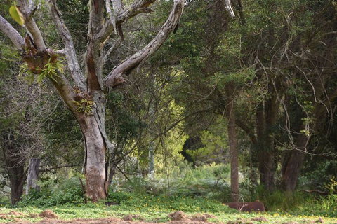 The Lodge Mapleton Falls - Brisbane Tourism 7