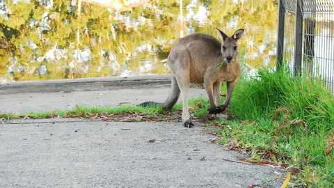 Riverfront Delight - Tourism Brisbane 3