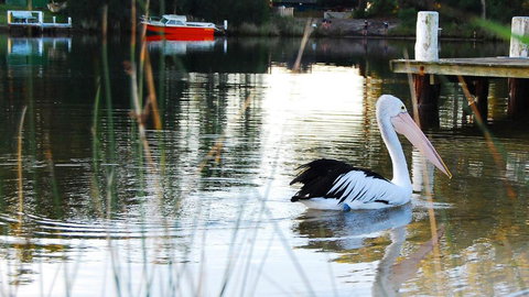 Riverfront Delight - Tourism Brisbane 4
