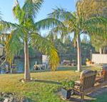 The Oasis on Jacobs Drive - Tourism Brisbane