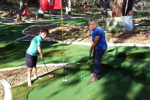 Bimbi Park - Camping Under Koala - Tourism Brisbane 1