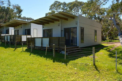 Bimbi Park - Camping Under Koala - Tourism Brisbane 6