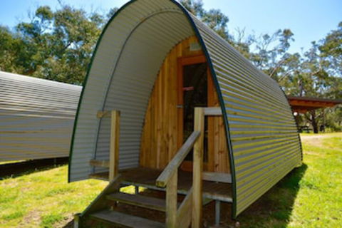 Bimbi Park - Camping Under Koala - Tourism Brisbane 0