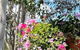 Crows Nest Motel - thumb 0