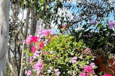 Crows Nest Motel - Brisbane Tourism 0