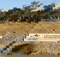 Ecocrackenback 16 'Sustainable chalet close to the slopes.' - Brisbane Tourism
