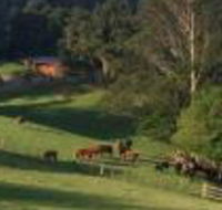 Amaroo Valley Springs - Tourism Brisbane