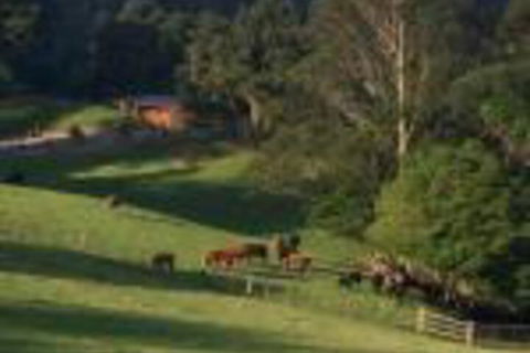 Amaroo Valley Springs - Tourism Brisbane 0