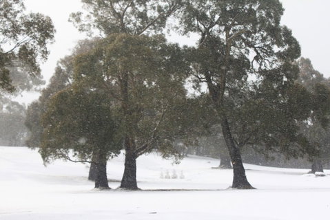 Stillwater Chalet A- Lake Crackenback - Brisbane Tourism 3