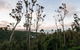 Onestep Airlie Retreat - thumb 0