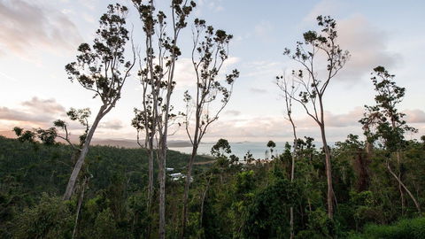 Onestep Airlie Retreat - Brisbane Tourism 0