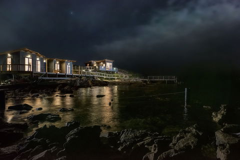 Picnic Island - Tourism Brisbane 4