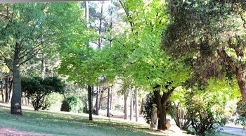 Eemnes Park Estate - Tourism Brisbane 6