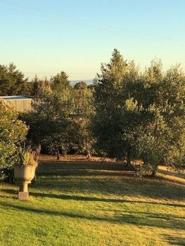 Eemnes Park Estate - Tourism Brisbane 4