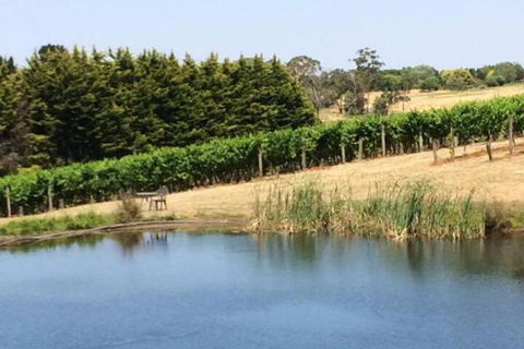 Seville Estate - Tourism Brisbane 3