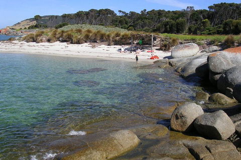 Sawyers Bay Shacks - Tourism Brisbane 4