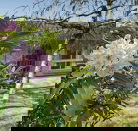 Wentworth Rose - Tourism Brisbane