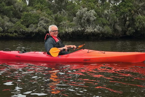 Painted Lady Bed & Breakfast - Tourism Brisbane 5