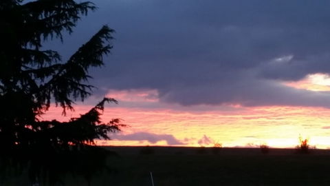 Stirling View - Tourism Brisbane 3