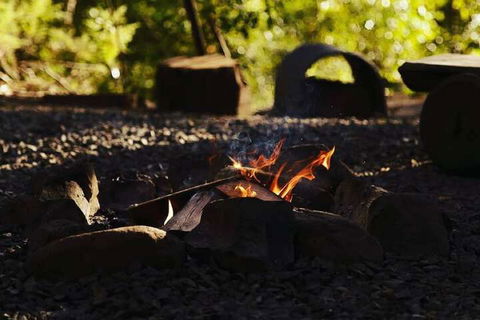 Carawirry Forest Escape - Brisbane 4u 5