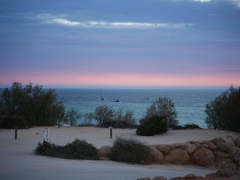 Denham Seaside Caravan Park - Brisbane 4u 1