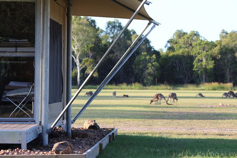Habitat Noosa - Brisbane Tourism 3