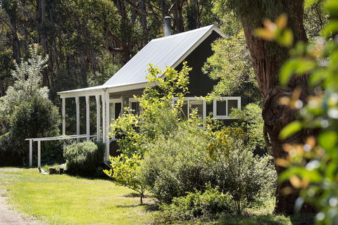 Bodhi - Tourism Brisbane 0