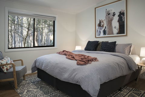 Bodhi - Tourism Brisbane 3