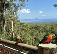 Grand Bali Retreat at Arakoon - Brisbane Tourism