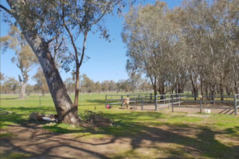 Jindera Park - Brisbane Tourism 2