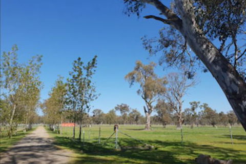 Jindera Park - Brisbane Tourism 1