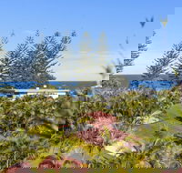 The Beachcomber 113 - Tourism Brisbane