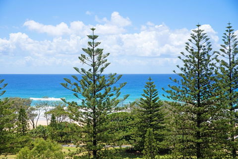 South Pacific Dream Central Broadbeach - Brisbane Tourism 2