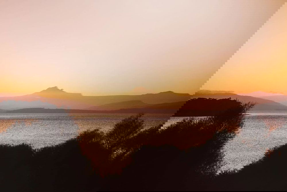 Rosny TAS Tourism Brisbane