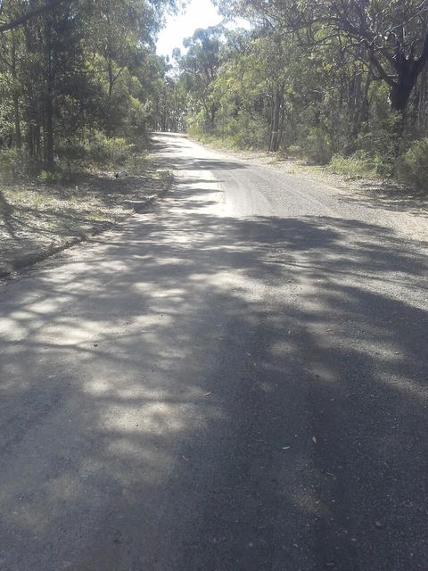 Sunsetcottages - Tourism Brisbane 5